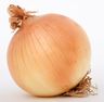 Picture shows onion