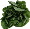 Picture shows spinach
