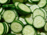 Picture shows Cucumber