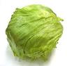 Picture shows lettuce