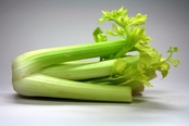 Picture shows Celery